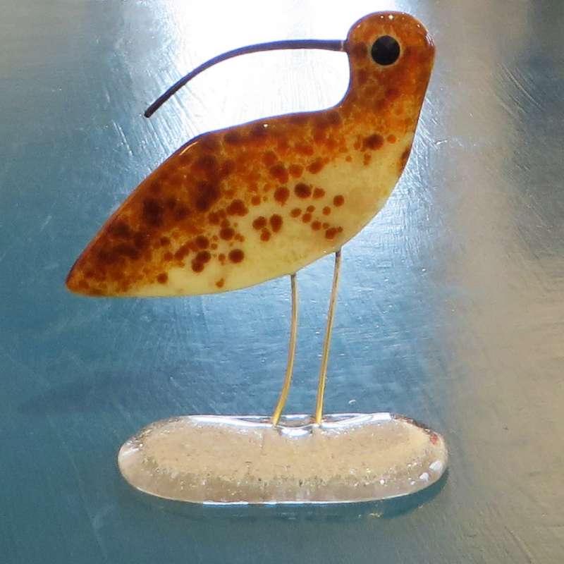 Curlew I